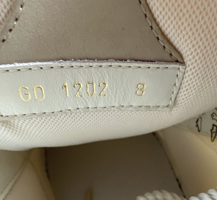 Louis Vuitton Skater Shoe Beige