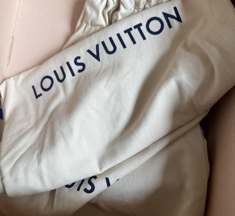 Louis Vuitton Skater Shoe Beige