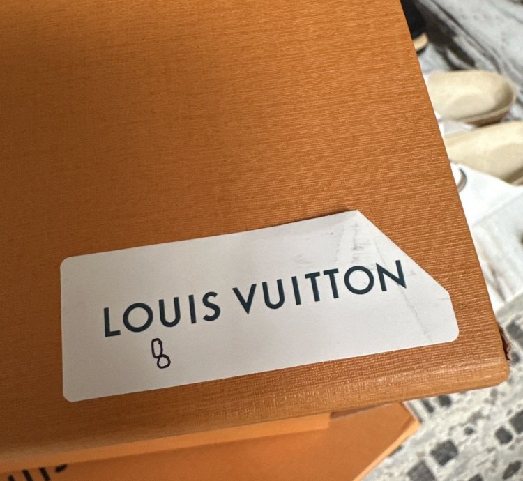 Louis Vuitton Skater Shoe Beige