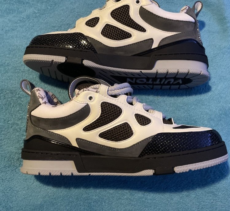 Louis Vuitton Skates
