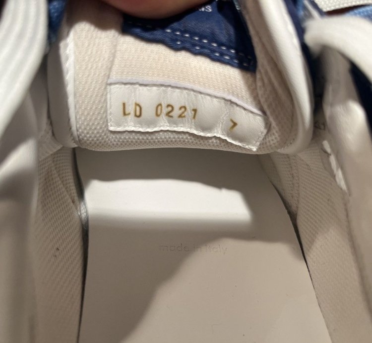 Louis Vuitton Sneaker