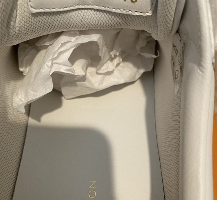 Louis Vuitton Sneaker