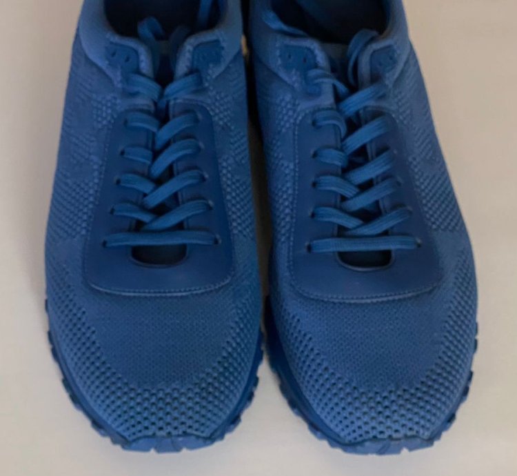 Louis Vuitton Sneakers Brand New