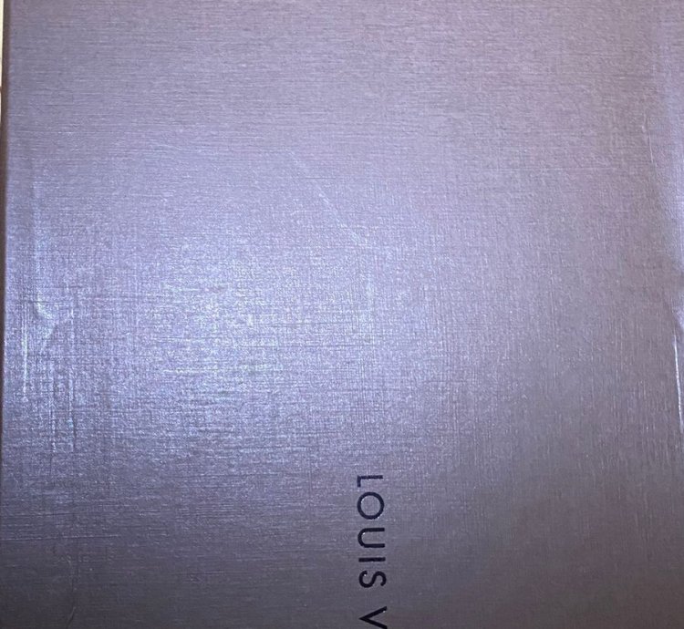 Louis Vuitton Sneakers Brand New