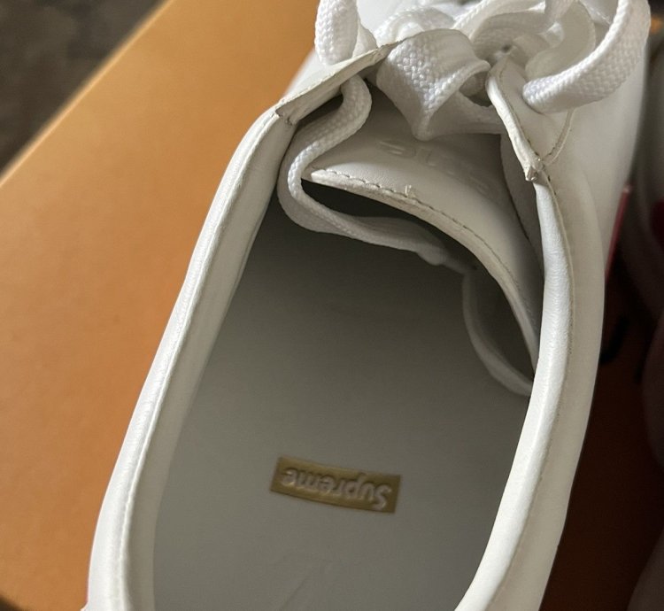 Louis Vuitton Supreme Sport Sneaker Monogram
