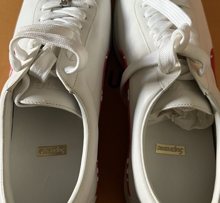 Louis Vuitton Supreme Sport Sneaker Monogram