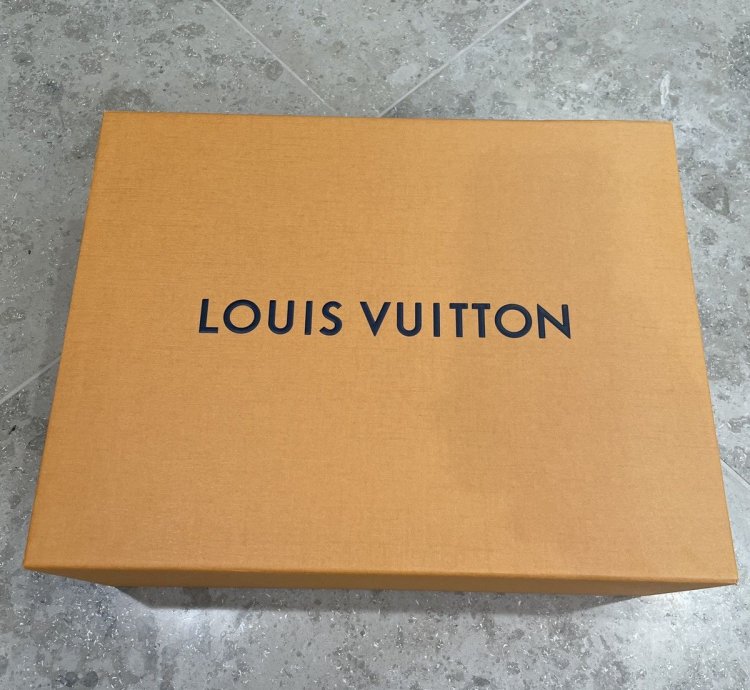 Louis Vuitton Tattoo Galaxy High Top Sneakers
