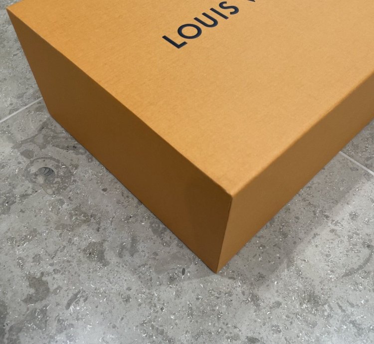 Louis Vuitton Tattoo Galaxy High Top Sneakers