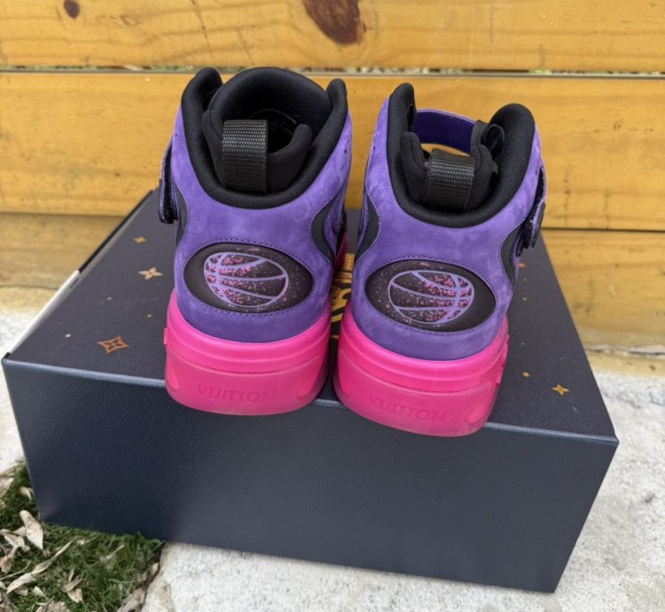 Louis Vuitton Trainer 2