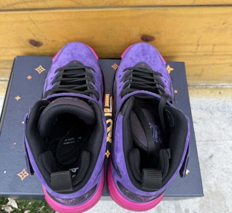 Louis Vuitton Trainer 2