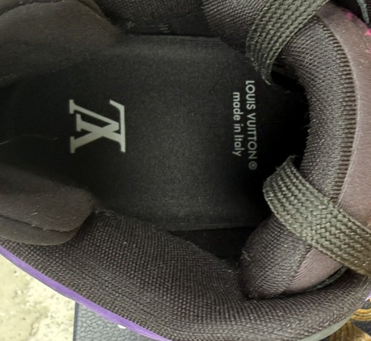 Louis Vuitton Trainer 2