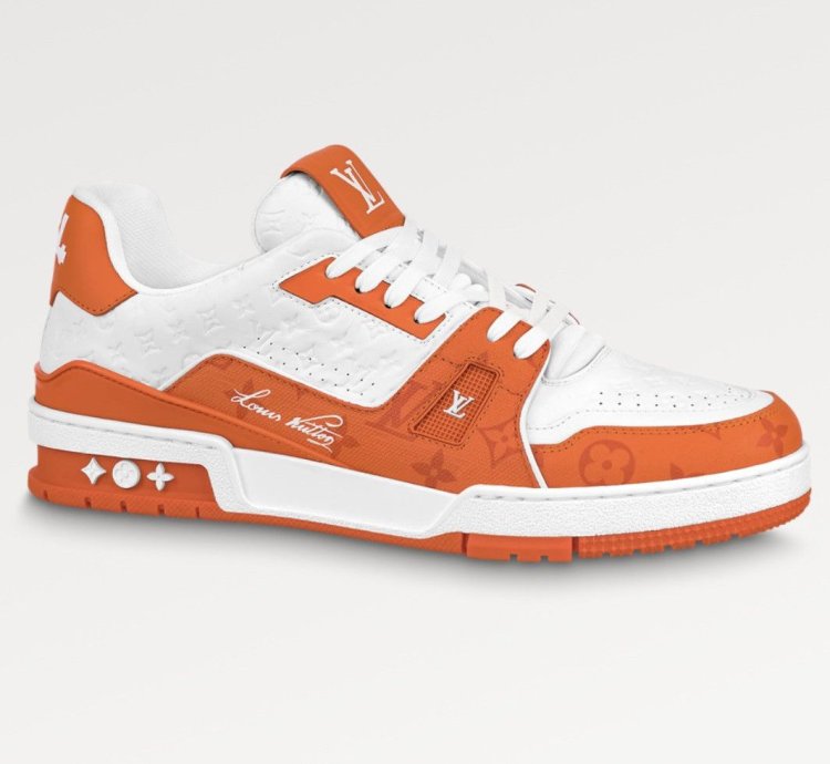 Louis Vuitton Trainer 54
