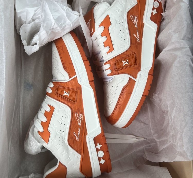 Louis Vuitton Trainer 54