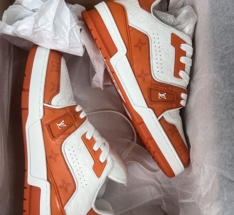Louis Vuitton Trainer 54