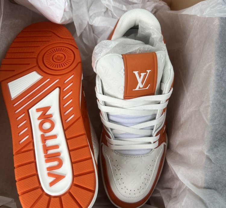Louis Vuitton Trainer 54