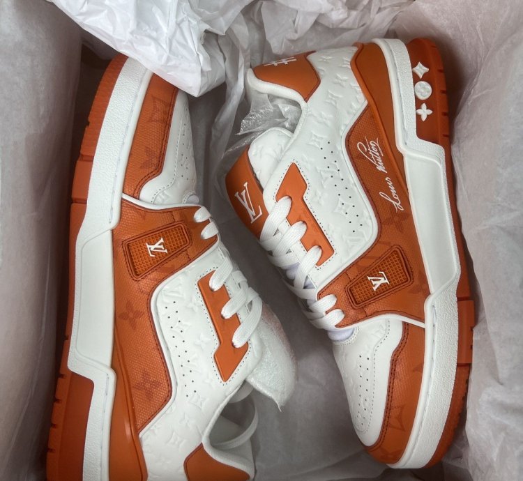 Louis Vuitton Trainer 54