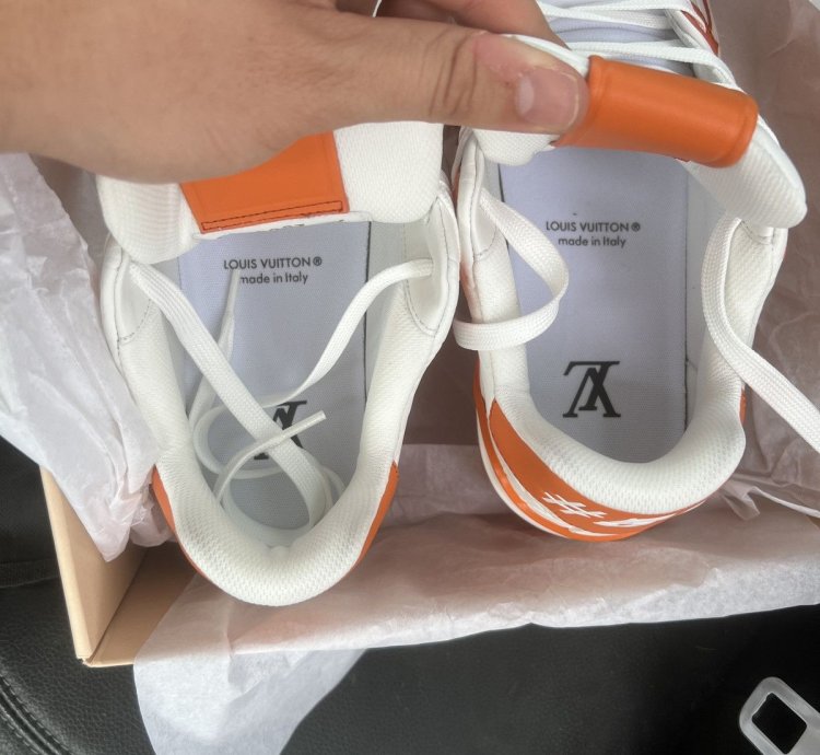 Louis Vuitton Trainer 54