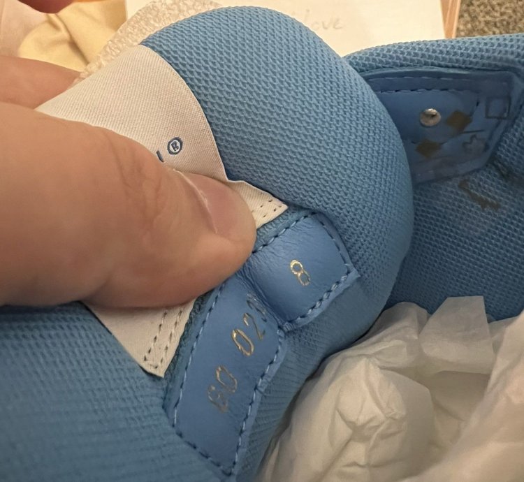 Louis Vuitton Trainer Denim Blue