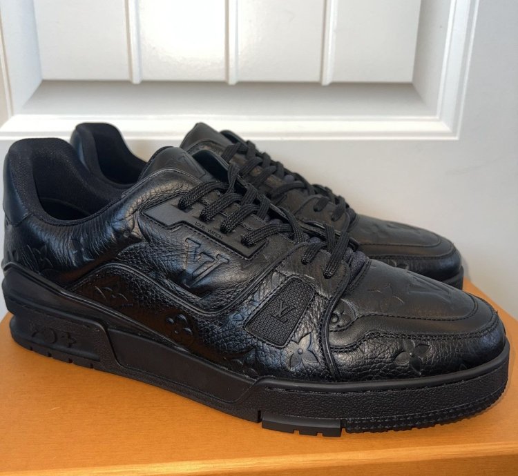 Louis Vuitton Trainer Leather