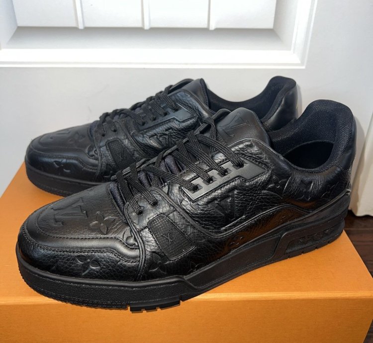 Louis Vuitton Trainer Leather
