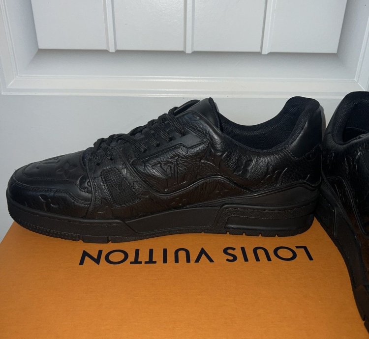 Louis Vuitton Trainer Leather
