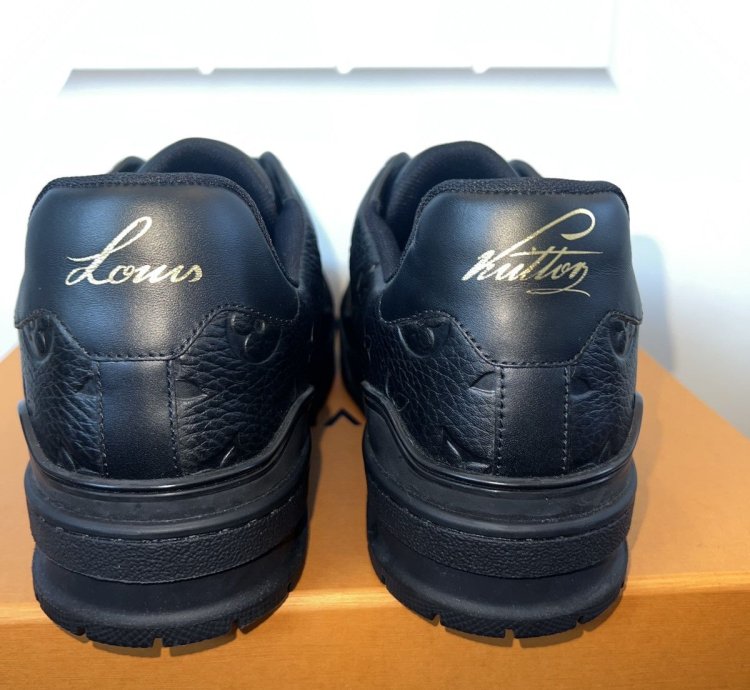 Louis Vuitton Trainer Leather