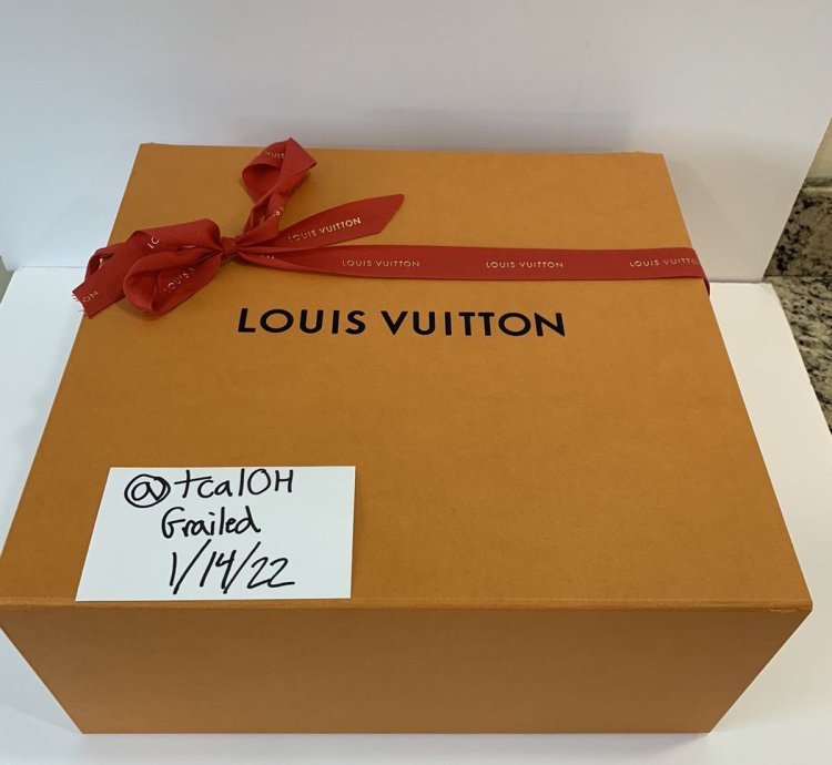 Louis Vuitton Trainer Low