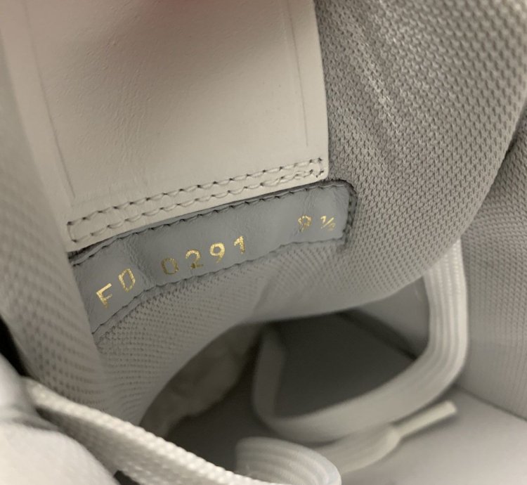 Louis Vuitton Trainer Low