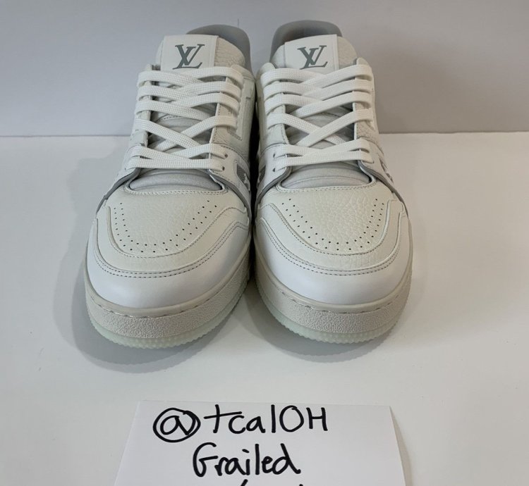 Louis Vuitton Trainer Low