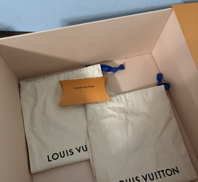 Louis Vuitton Trainer Monogram Ebene