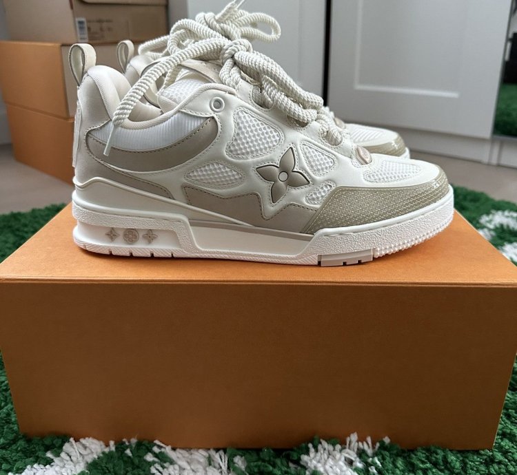 Louis Vuitton Trainer Skate Sneakers