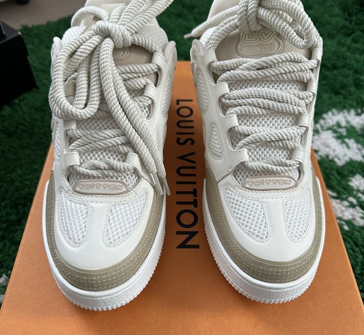 Louis Vuitton Trainer Skate Sneakers