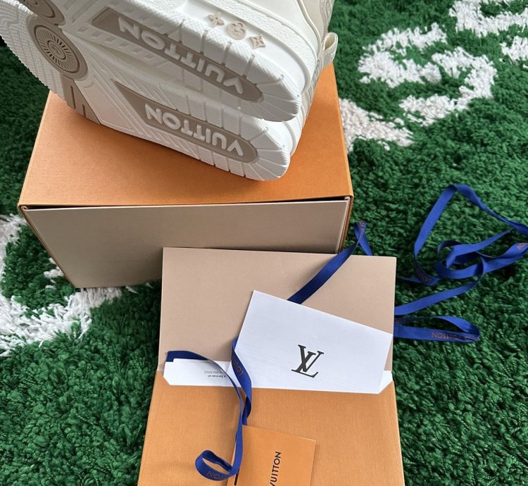 Louis Vuitton Trainer Skate Sneakers