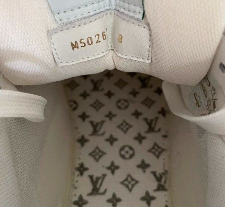Louis Vuitton Trainer Sneaker Fw21 Lv8