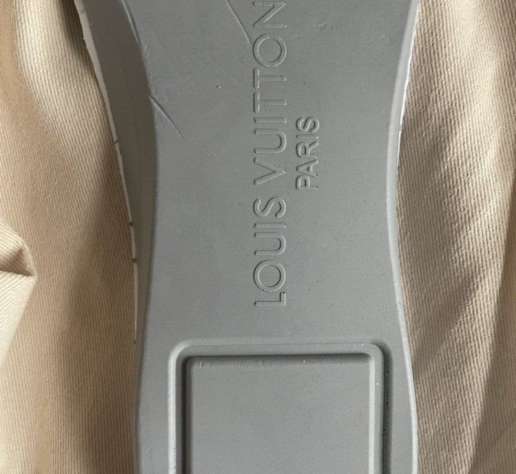 Louis Vuitton Trainer Sneaker Fw21 Lv8
