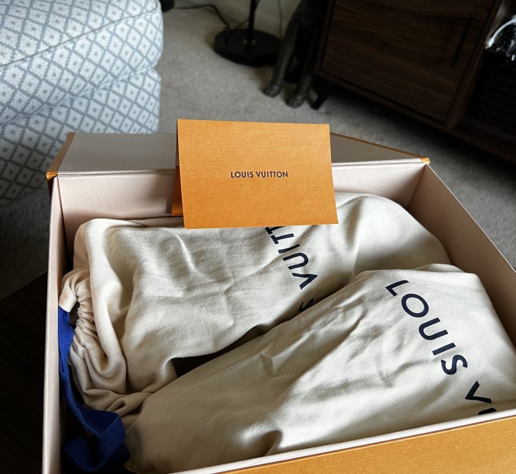 Louis Vuitton Trainer Sneaker Ss22
