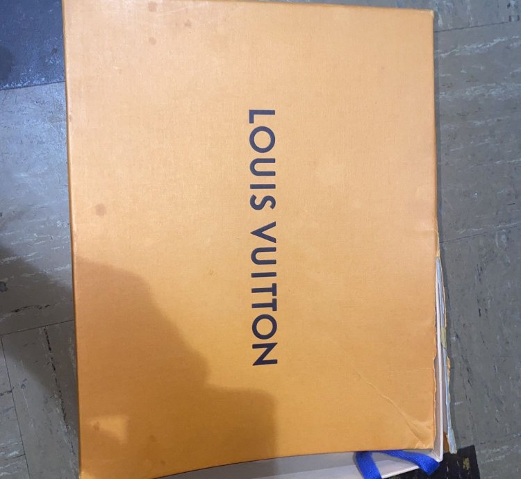 Louis Vuitton Trainer Sneaker Sz 9