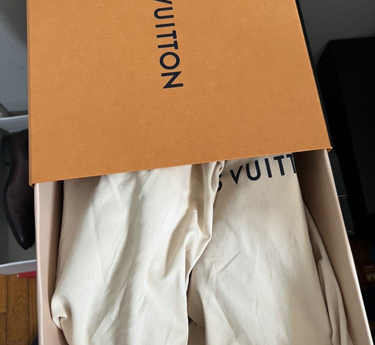 Louis Vuitton Trainers