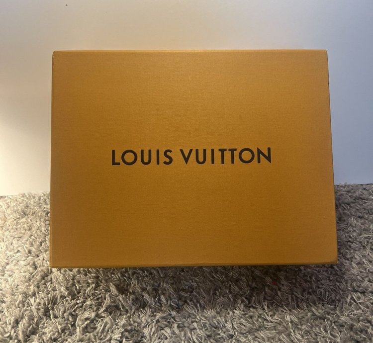 Louis Vuitton Trainers White