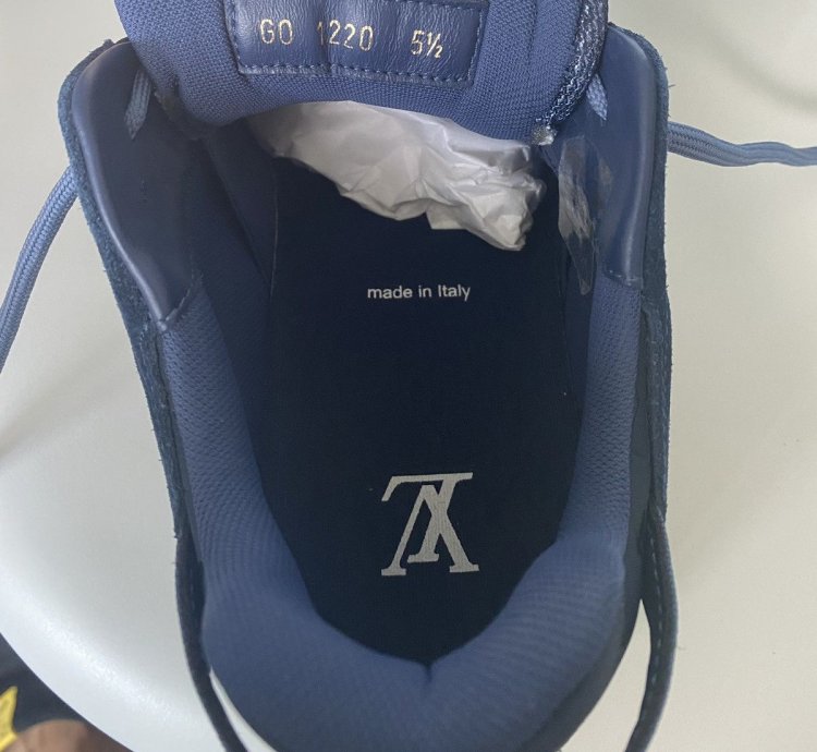 Louis Vuitton View Sneaker
