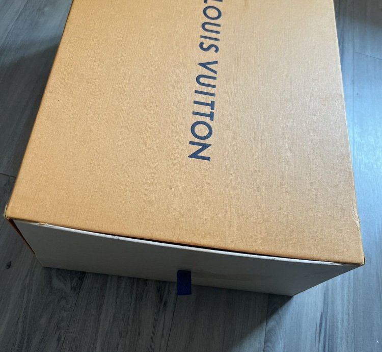 Lv Chunky Runner Sneaker