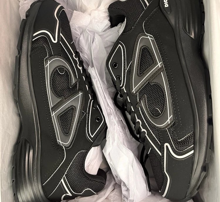 Dior B30 Low-top Sneakers black