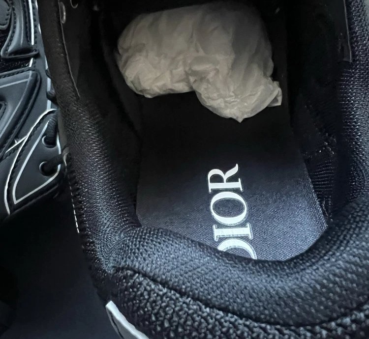 Dior B30 Low-top Sneakers black