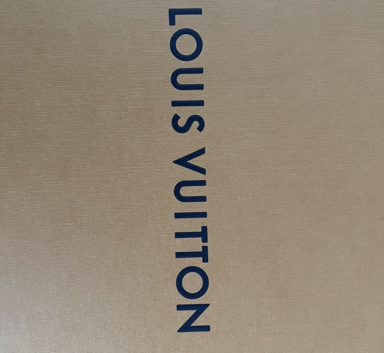 Lv Skate Shoes
