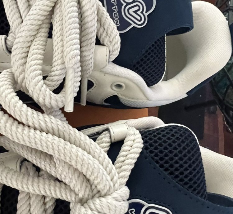 Lv Skate Shoes