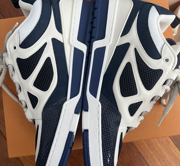 Lv Skate Shoes