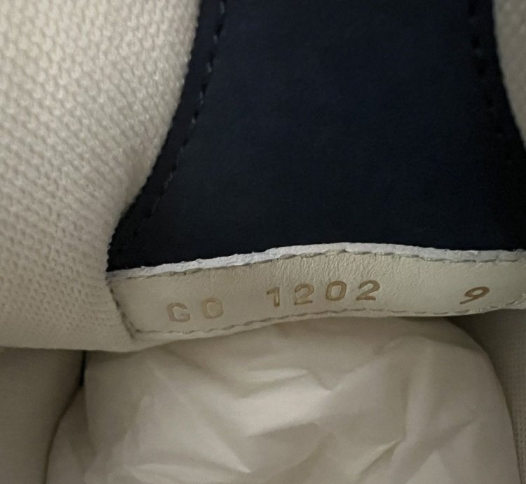 Lv Skate Shoes