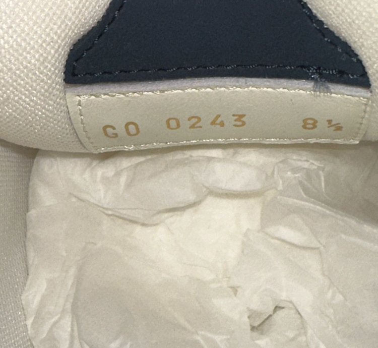 Lv Skate Sneaker fits Like Size 10