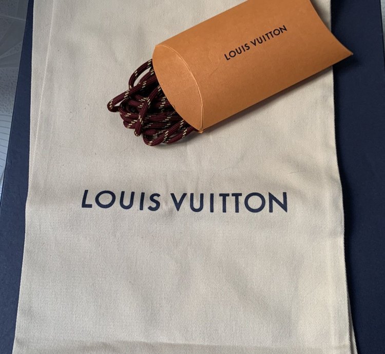 Lv Trail Sneaker In Violet