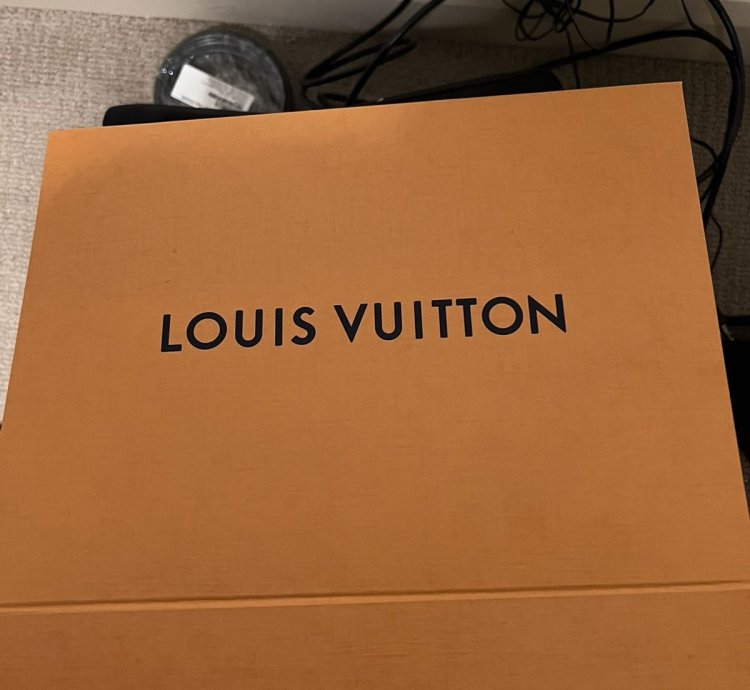 Mens Louis Vuitton Sneaker
